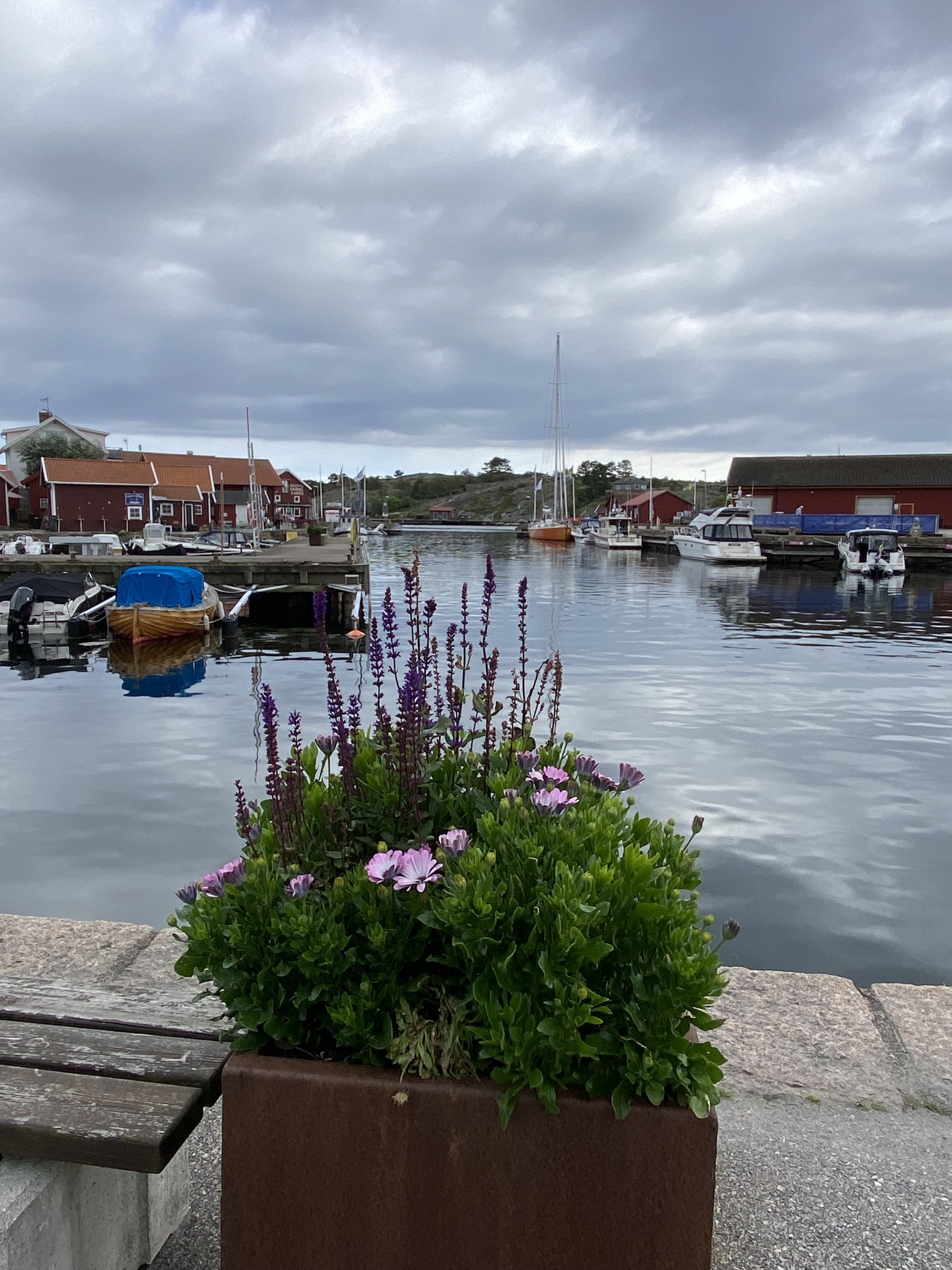 A blog from our Australian sailor Frances