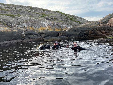 Dykning Kosterhavet