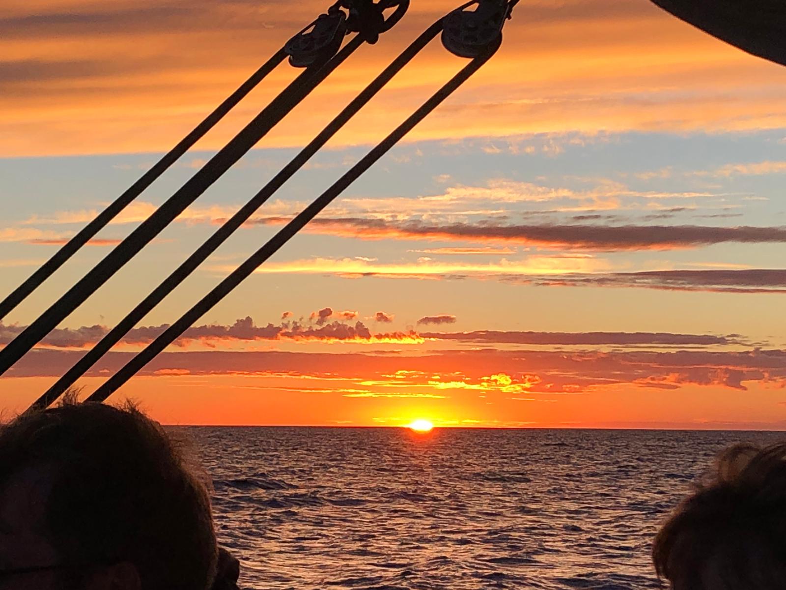 På vej til Læsø og deltage i, at Danmark planter ålegræs