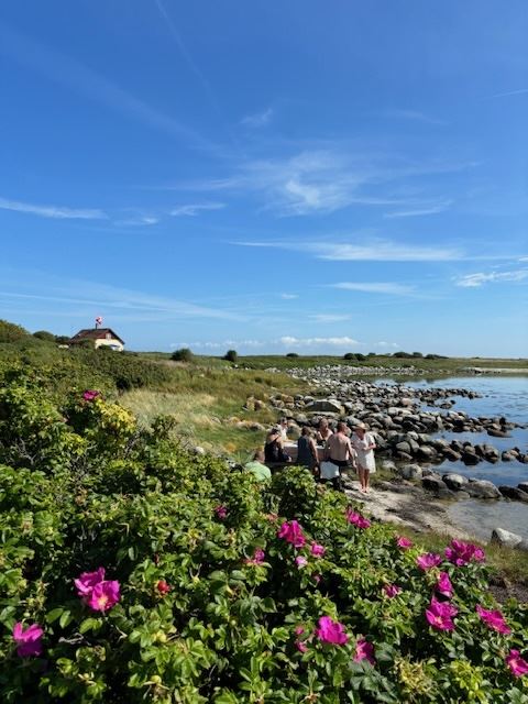 Hygge På Stranden
