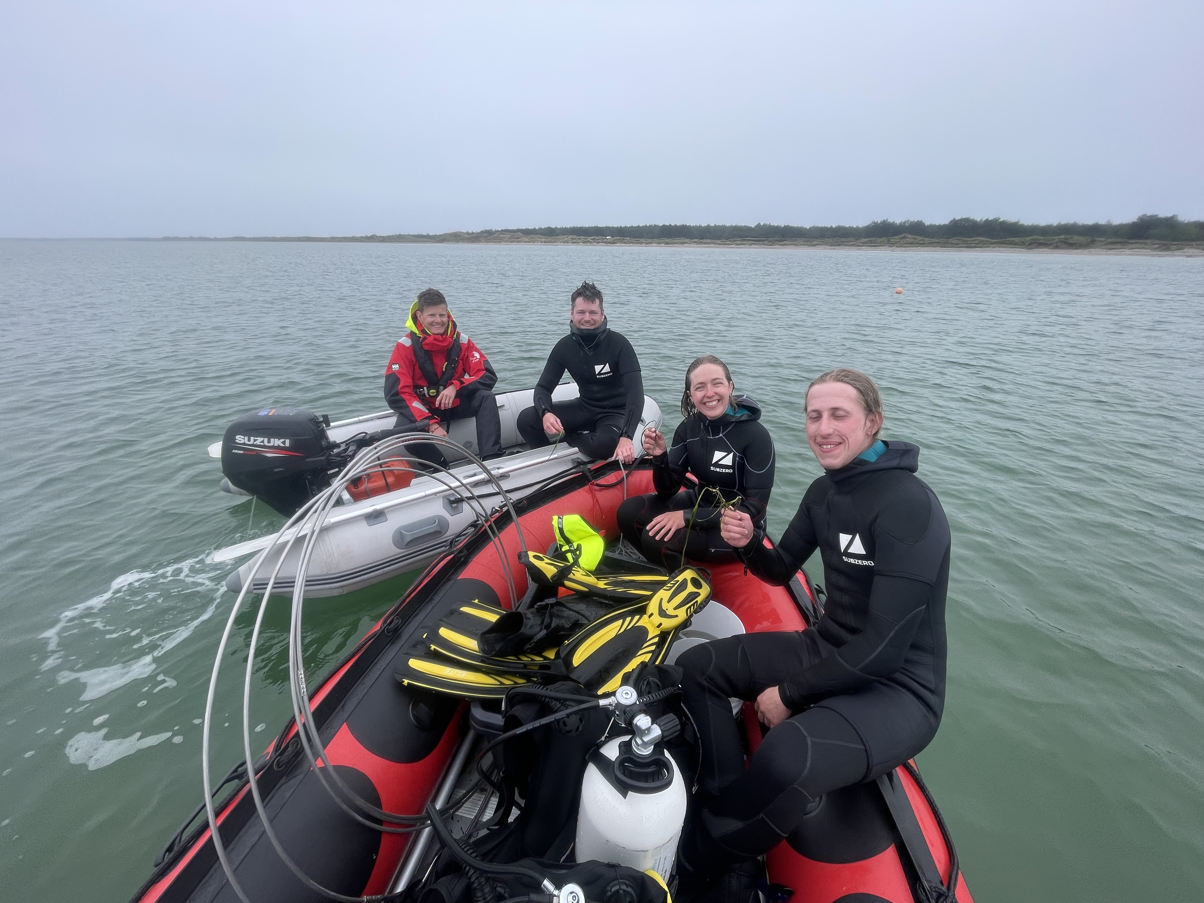 Det unikke marineliv omkring Læsø